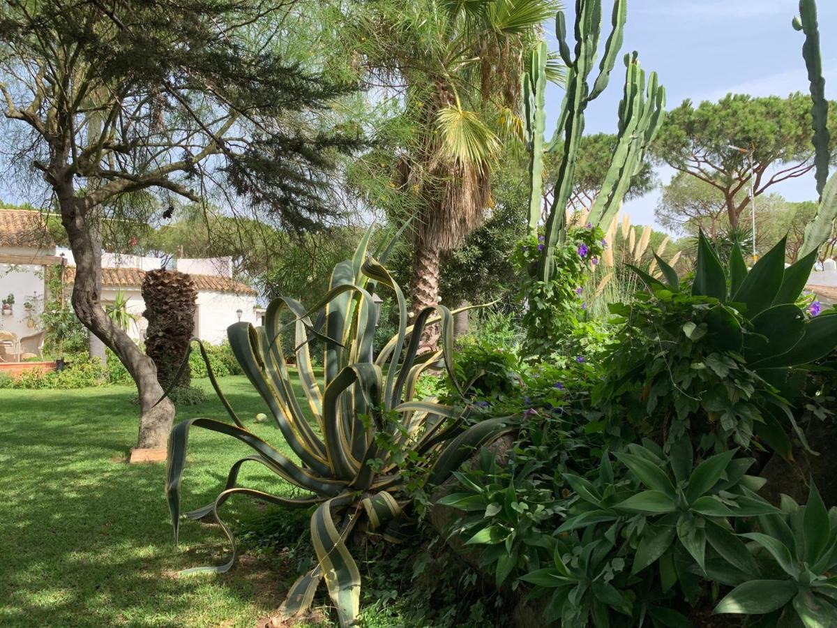 Отель Finca Filpi Чиклана-де-ла-Фронтера Экстерьер фото